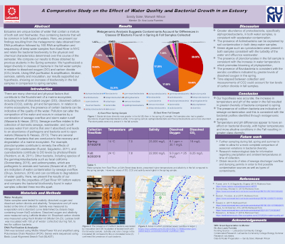 Poster Spring 2019